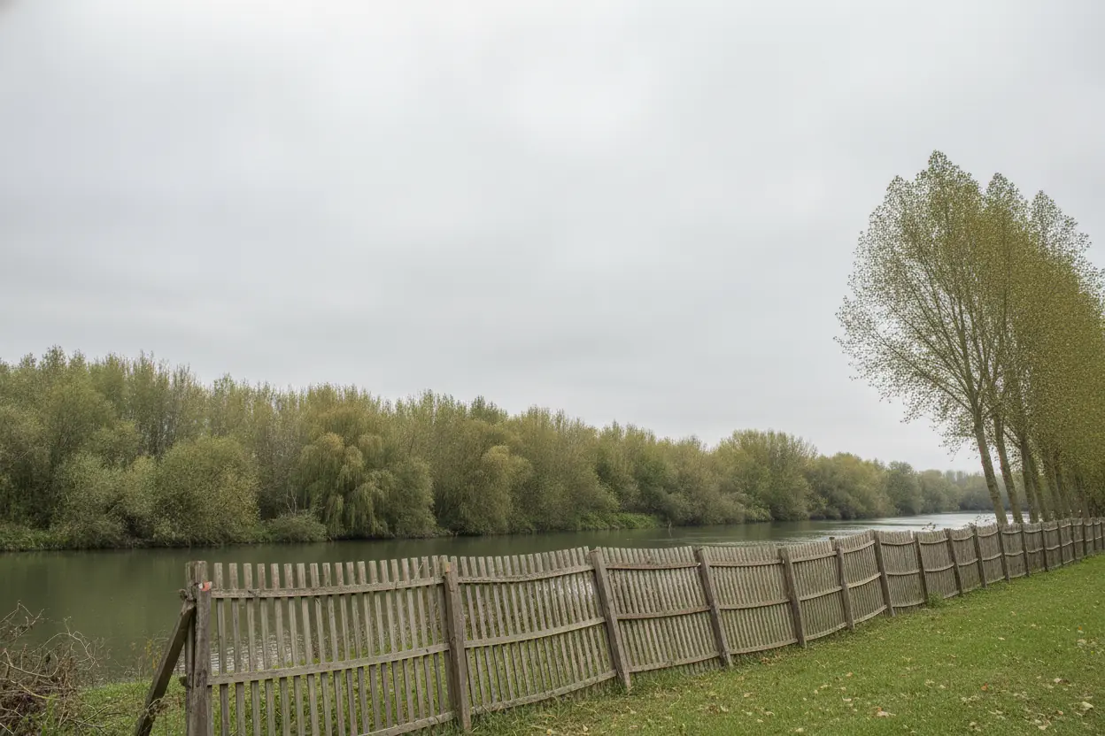 Jardin dégagé après démontage complet d'un arbre à Crêches-sur-Saône